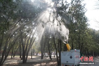 北京：多措并举治理致敏花粉