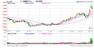 华泰期货：资金青睐化工板块，推动丁二烯橡胶上涨
