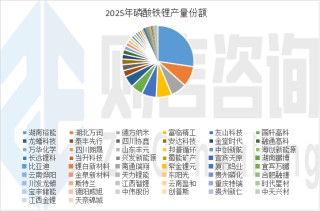 则言咨询：2025年磷酸铁锂产量392.02万吨