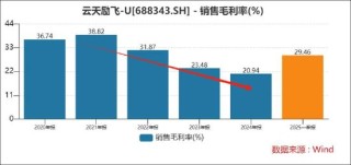 云天励飞赴港上市背后：自身造血差？业绩不够并购来凑 AI眼镜业务成色待考