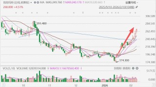 泡泡玛特反弹55%