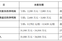 声迅股份 2024 年营收“大跳水”，投资者索赔箭在弦上