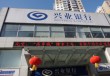 如何通过银行APP查询账户交易频率统计功能？