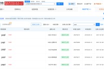 papitube已登记papi的热烈欢迎著作权