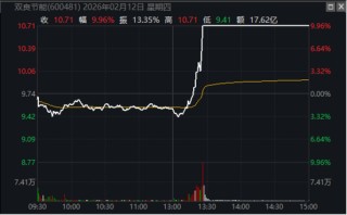 10万股东被摁跌停板！600481，SpaceX“大单”信披玩火？董秘被警示