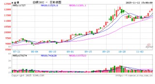 收评|国内期货主力合约涨跌不一 沪银涨超2%