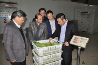 如何进行农业养殖操作？非洲养鸡有哪些要点？