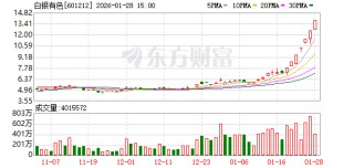 白银有色7连板！股价30天翻倍，预亏6.75亿元难盖追逐热情