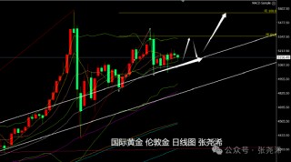 张尧浠:美元走强加通胀担忧 金价仍保持震荡上行趋势