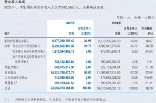 净利近百亿难掩隐忧：申万宏源投资收益撑起六成营收，四季度业绩“腰斩”，年内多家子公司收罚单