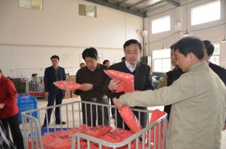 股票中的通涉及哪些交易机制？这些交易机制对市场有哪些影响？