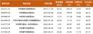 10年回报260%，百亿基金经理华安胡宜斌：可以用一点来证伪AI已泡沫化