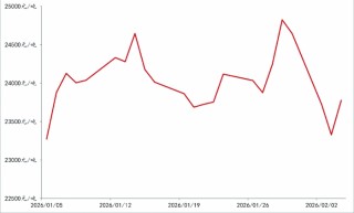 有色市场：结构分化，波动加剧