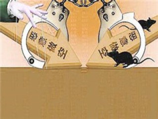 如何确定做期权看什么指标最好？指标的作用是什么？