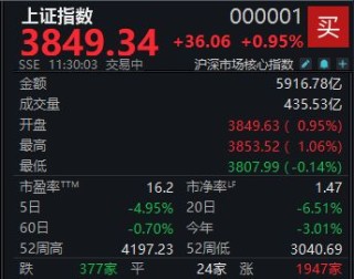 A股反弹略显分化，沪指半日涨0.95%