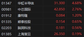 算力芯片国产替代大有可为！部分半导体股逆市上扬，华虹半导体涨超4%