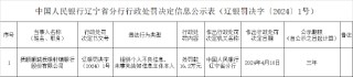 抚顺顺城抚银村镇银行被罚16.2万元：提供个人不良信息 未事先告知信息主体本人