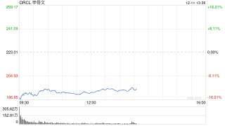 甲骨文市值蒸发1020亿美元 信用风险升至2009年以来最高水平