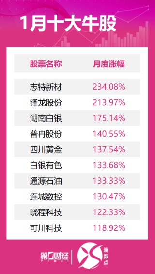 1月十大牛股出炉：志特新材逾234%涨幅问鼎榜首