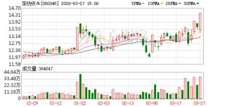 深纺织A：董事会审议通过《2025年度董事会工作报告》等多项议案