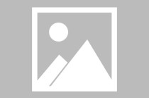 星源材质：公司尚未实施股份回购