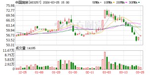 中国瑞林：正深入推进“技术+管理+资本”协同驱动