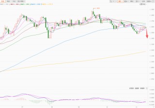 美元指数弱势震荡 欧元反弹日元暴跌