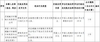 应城融兴村镇银行被罚20万元：未按规定履行客户身份识别义务