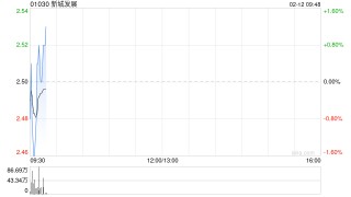 新城发展完成先旧后新配售合共1.98亿股 净筹约4.69亿港元