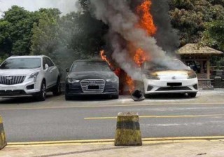 纯电动车和燃油车维护成本谁更低？