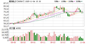 精测电子：无逾期对外担保事项