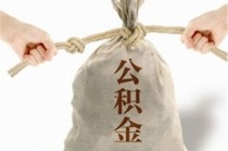 如何理解住房保障事务？廉租房相关情况有何要点？