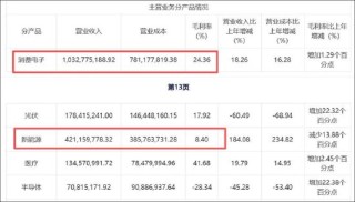 东尼电子实控人高质押是否存爆仓风险？警惕公司债务风险 股价遭财务造假“暴击”