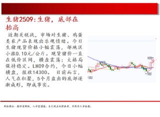 中天期货:螺纹小幅回弹 白银震荡修复