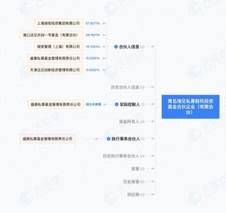 瑞安房地产：佛山两项目引入险资，交易所得款项净额约6.83亿元