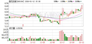 莲花控股2025年业绩创历史新高，向“新”发力成效显著