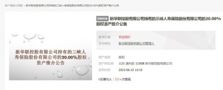 三峡人寿再迎股权变局：新华联控股所持2亿股将拍卖，国资化险后“赶考”扭亏