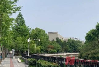 验资5000万元看房 一套2亿元起 上海“宁国府”拿地17年 才在政策松动缝隙里找到开盘时机