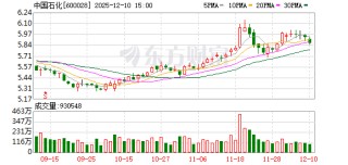 中国石油化工股份(00386.HK)12月10日回购882.34万港元，年内累计回购16.26亿港元