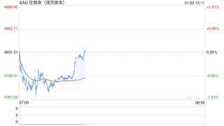 黄金首破4800美元创历史新高！高盛二度上调目标价至5400美元