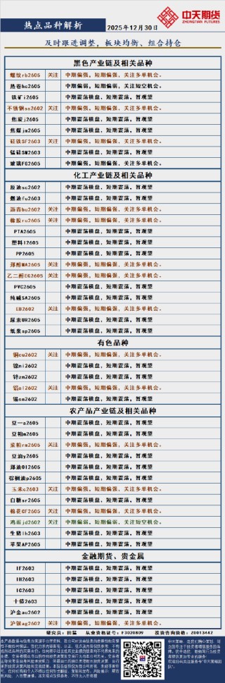 中天策略:12月30日市场分析