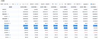 若羽臣成被执行人：猛砸销售费用驱动业绩增长，负债激增现金已难覆短债