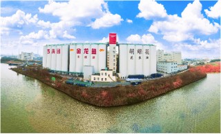 “碳”索可持续发展密码，请查收益海嘉里金龙鱼2024年绿色成绩单