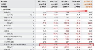 观想科技借重组打响保壳战？收购标的业绩波动营收不足2亿赛道竞争激烈