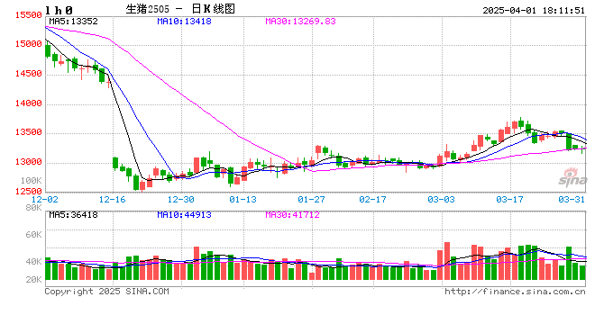 每日猪讯4.1  第2张