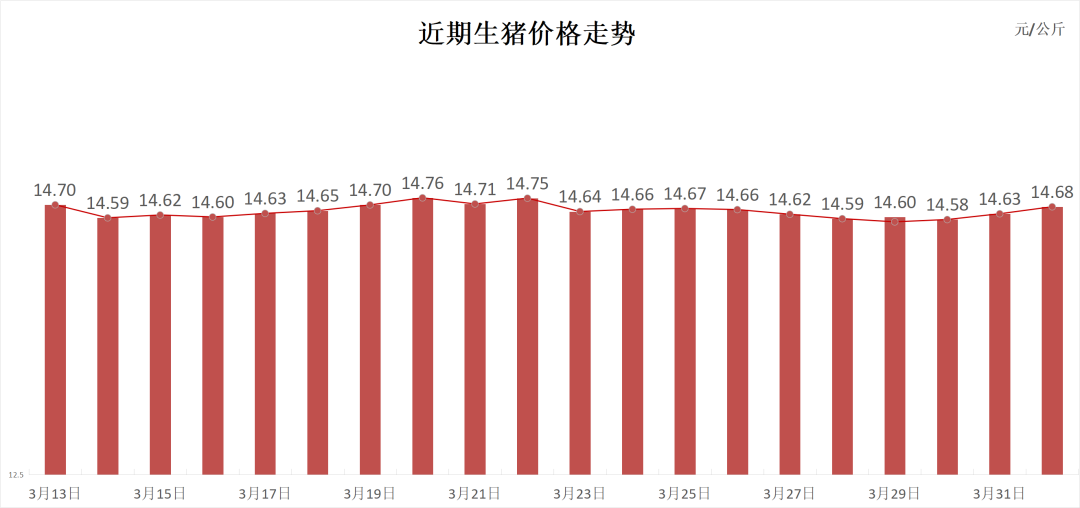 每日猪讯4.1  第3张
