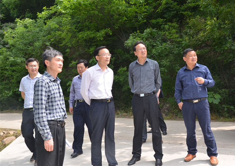 什么价?的价格走势受什么影响? 第1张 什么价?的价格走势受什么影响? 第1张