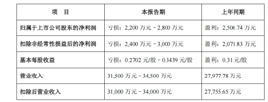 声迅股份 2024 年营收“大跳水”，投资者索赔箭在弦上  第1张