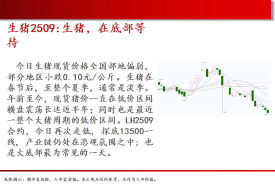 中天期货:白糖震荡下行 橡胶短期仍偏弱 第4张 中天期货:白糖震荡下行 橡胶短期仍偏弱 第4张