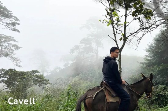 张向东：展望2025，有机食物与未来的探索和实践  第11张